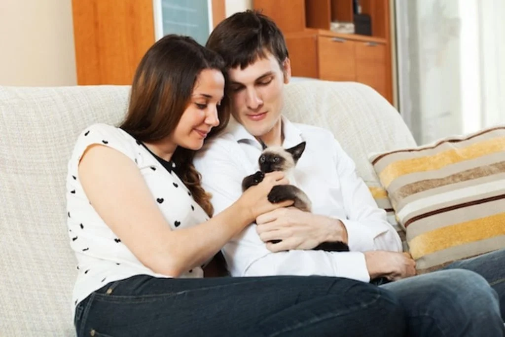 faire des rencontres avec son chat-2