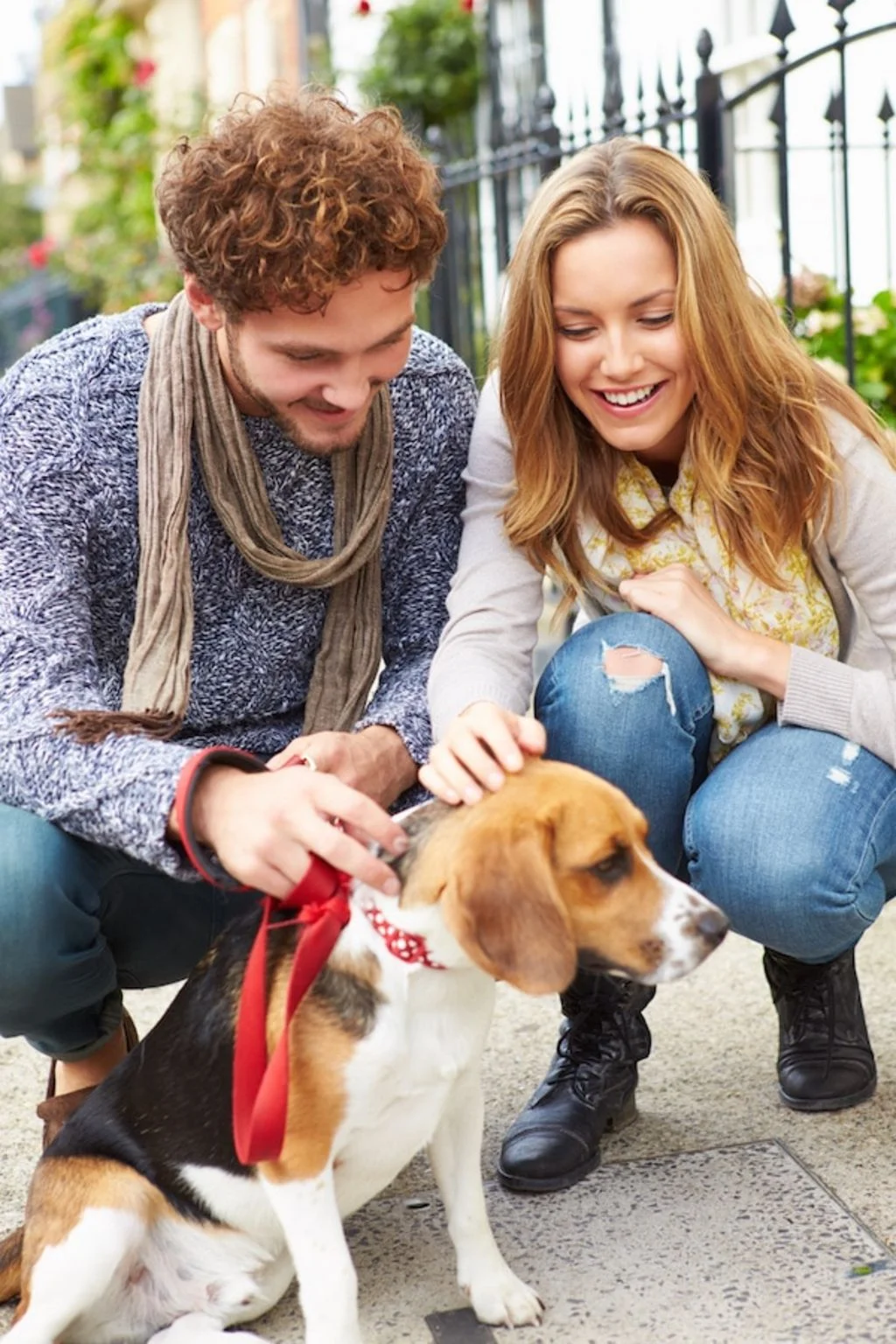 faire des rencontres avec son chien-2