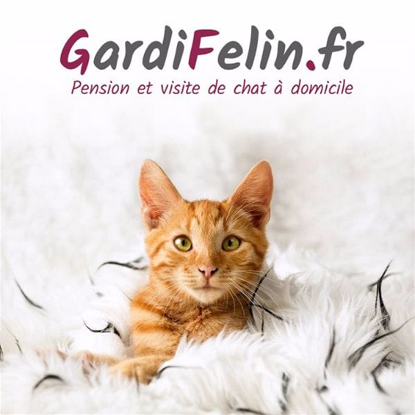 Toulouse : avec GardiFélin, les animaux sont bien gardés !