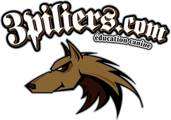 Les 3 Piliers : l’éducation canine en douceur