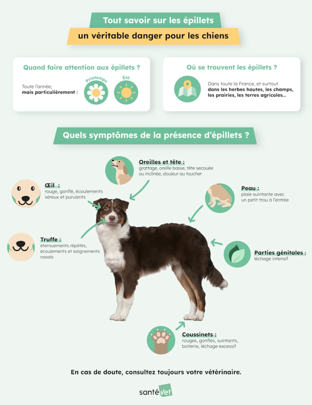 Les Epillets - infographie santevet