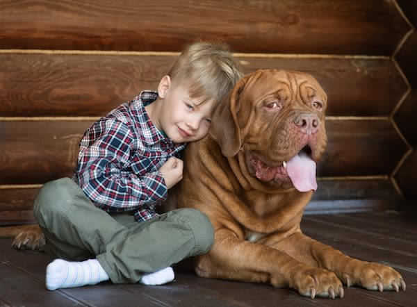 Comment faire dignement le deuil de son chien ?