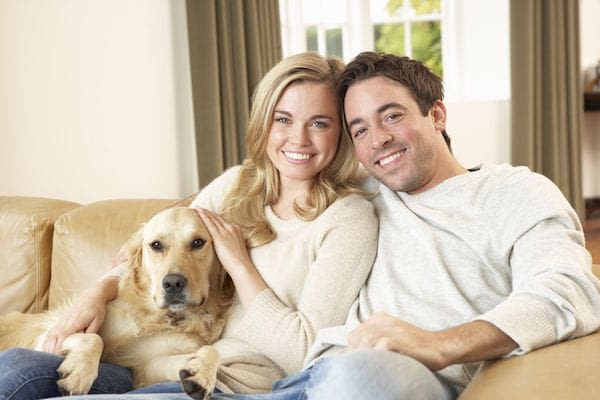 Trouver une location avec son chien ou chat en Belgique