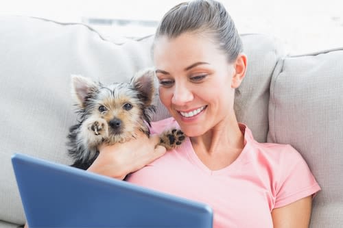 Faire une demande de devis est sans engagement