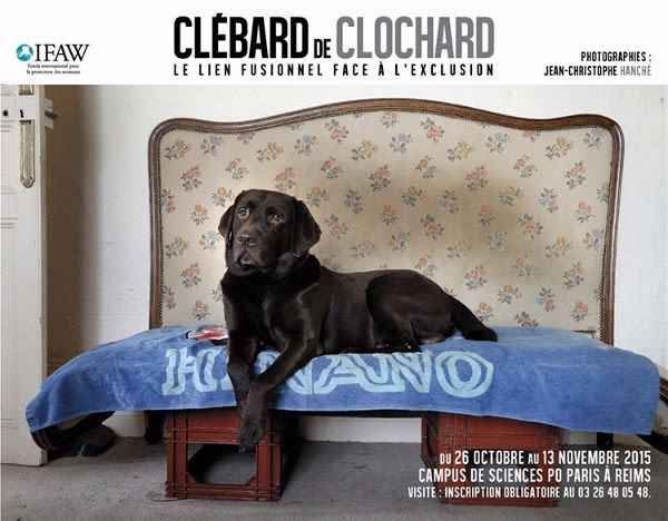 Les « clébards de clochards » s’invitent à Sciences-Po