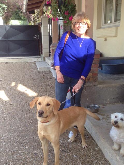 Lucky, chien maltraité, a trouvé une nouvelle famille