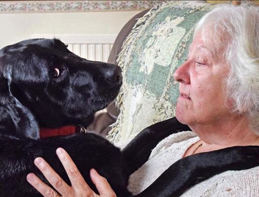 Son chien détecte son cancer du sein de manière précoce