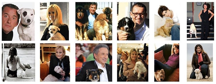 Les stars françaises et leurs animaux : histoires d’amour