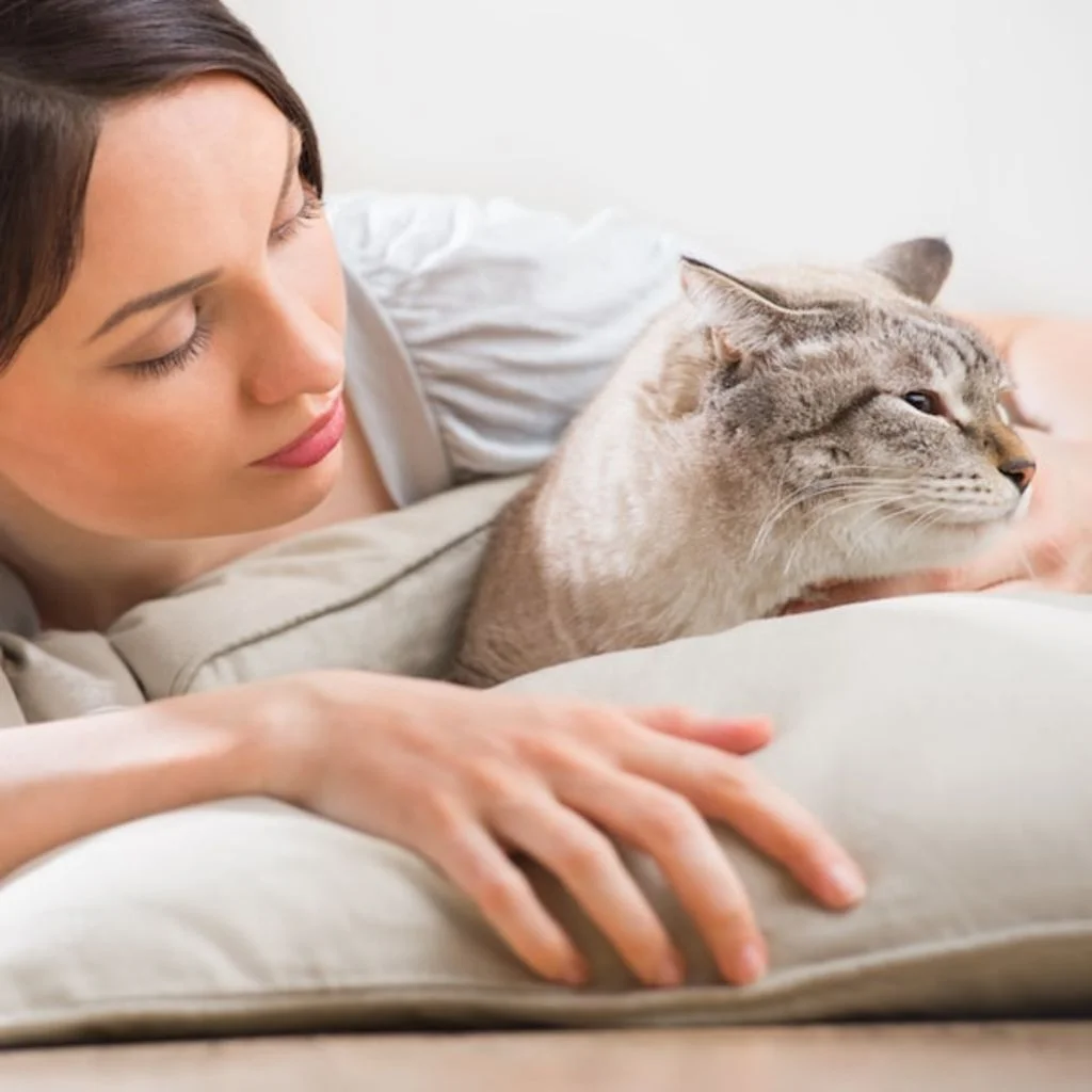assurance santevet chien chat belgique