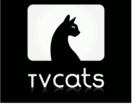 TV Cats : la nouvelle Web TV 100% consacrée aux chats
