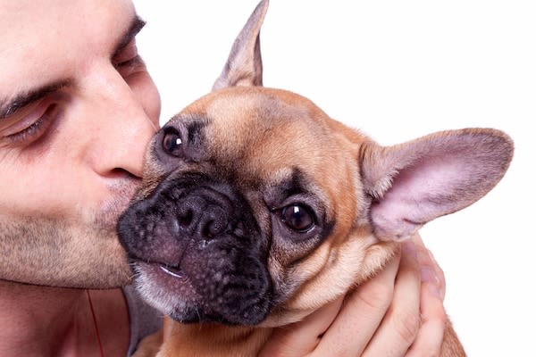 Les hommes dépensent plus que les femmes pour les animaux