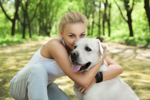 Votre chien n’aime pas les caresses !