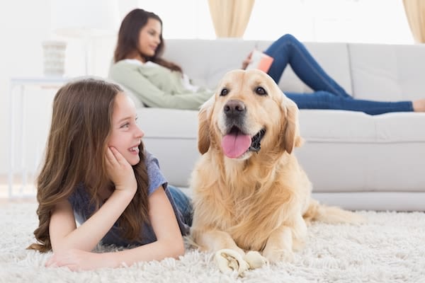 Chiens et chats : la prévention, c’est assurer leur santé