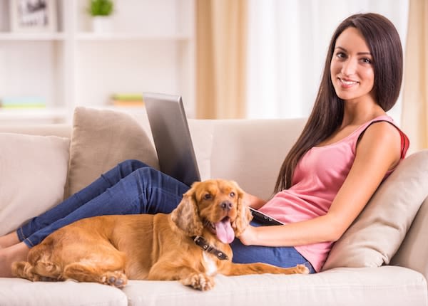 Ventes privées : chiens et chats y ont droit aussi