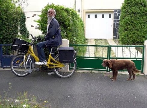 Nantes : un facteur interdit de tournée avec son chien
