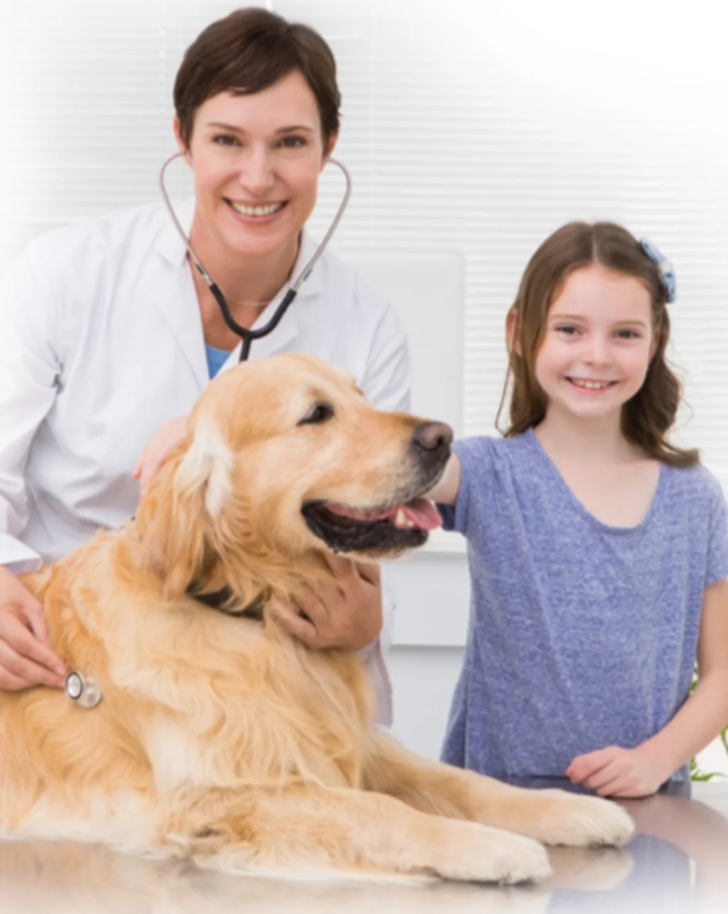 prevention care santevet-3
