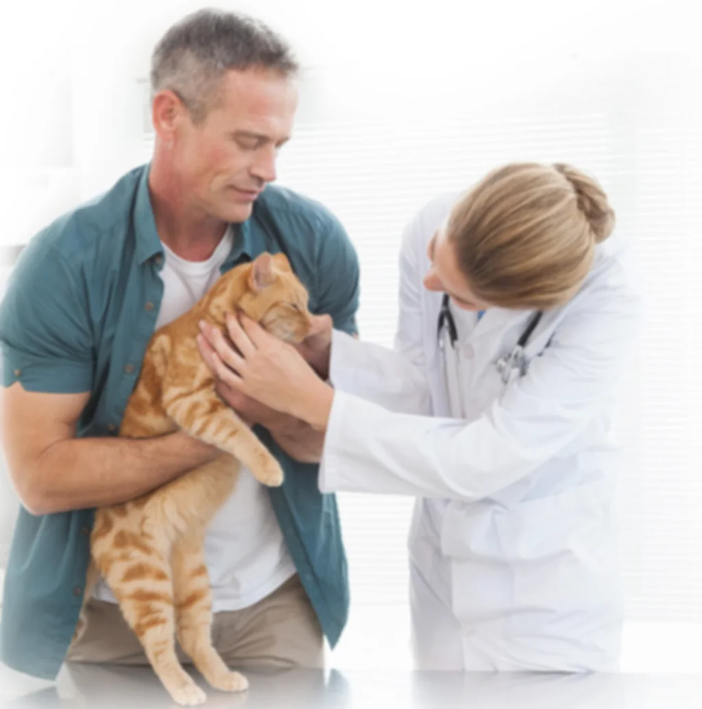 prevention care santevet-4