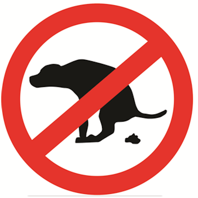 Déjections: pas de fichage ADN des chiens à Béziers