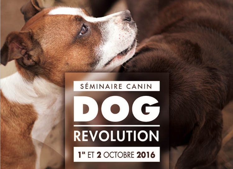 Dog Revolution : un séminaire canin en Ile-de-Fran