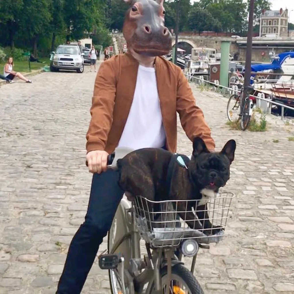 looper publicite hippopotamus