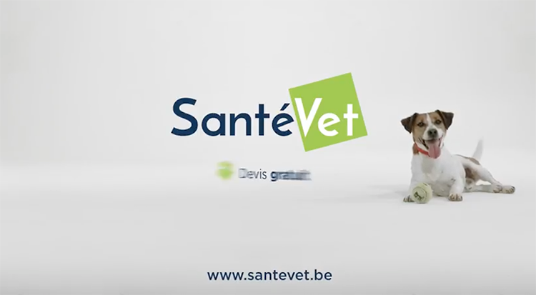SantéVet  : une assurance santé animale pas bête !