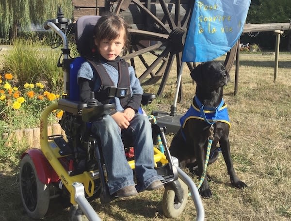 Chiens d’assistance : plus belle et solidaire est la vie !