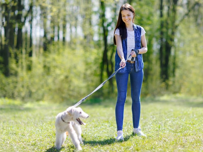 Promener son chien procure un sentiment de sécurité