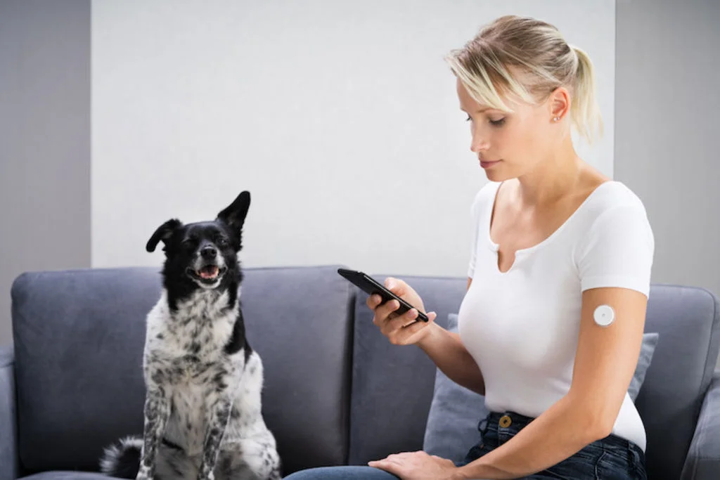 chien_objetconnecte