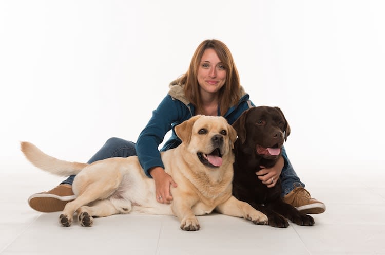 Chiens en entreprises : une source de bien-être !