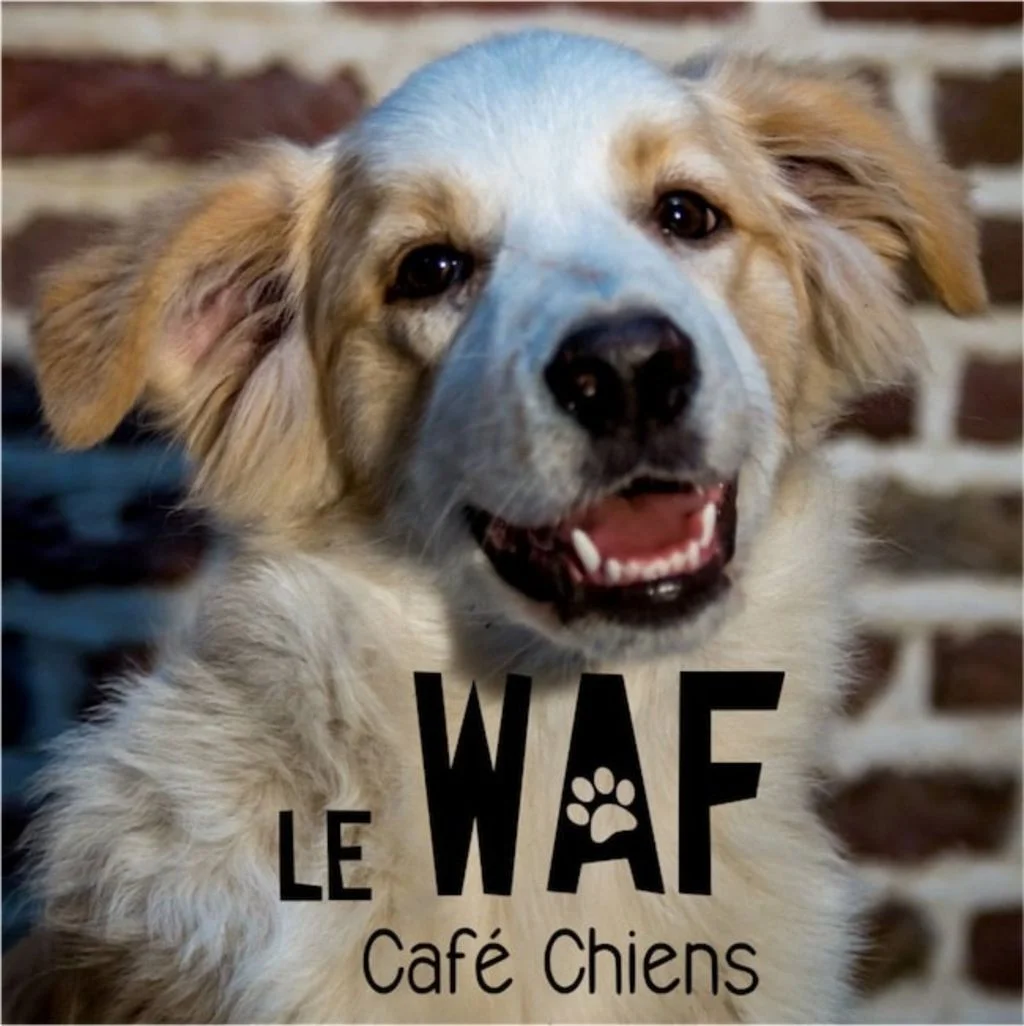 waf_cafe_2