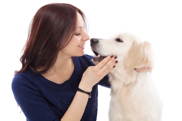 Gratuit ! Téléchargez le Guide Prévention pour votre chien