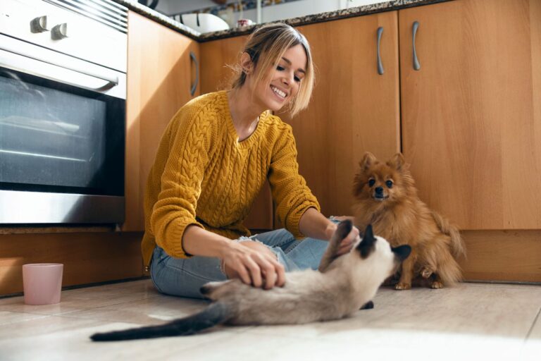 Comment bien choisir son assurance santé animale ?