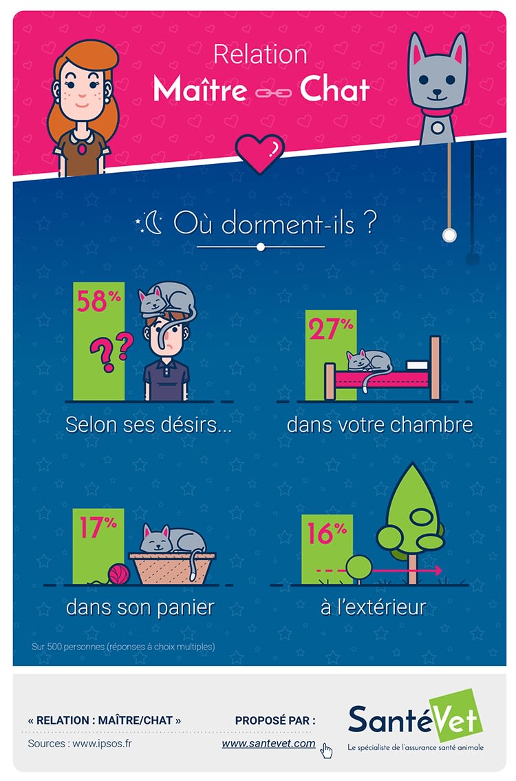 Où dorment vos chats ?