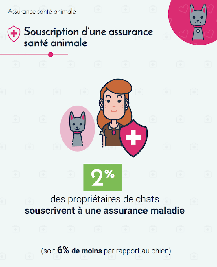 Assurance animale: les chats moins protégés que les chiens