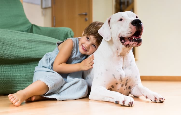 Chiens, chats et enfants : de futurs maîtres responsables
