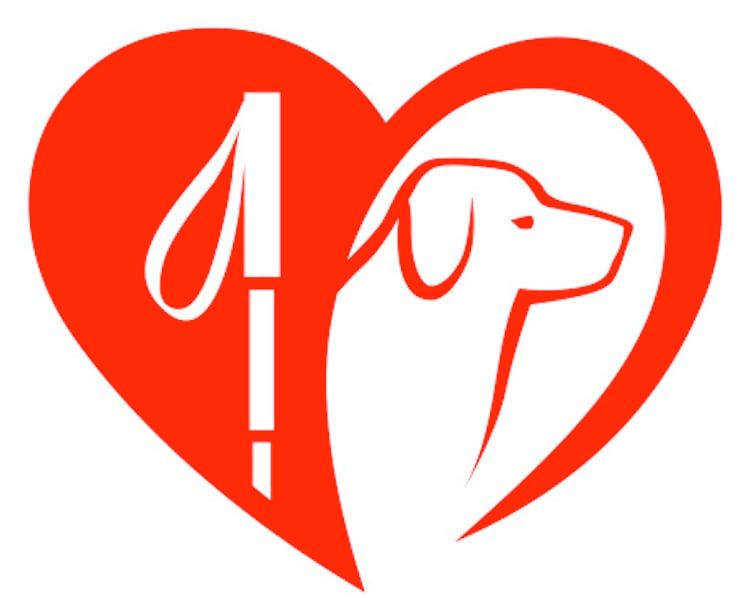 Joos, labrador : le 5000e chien guide d’aveugle en France