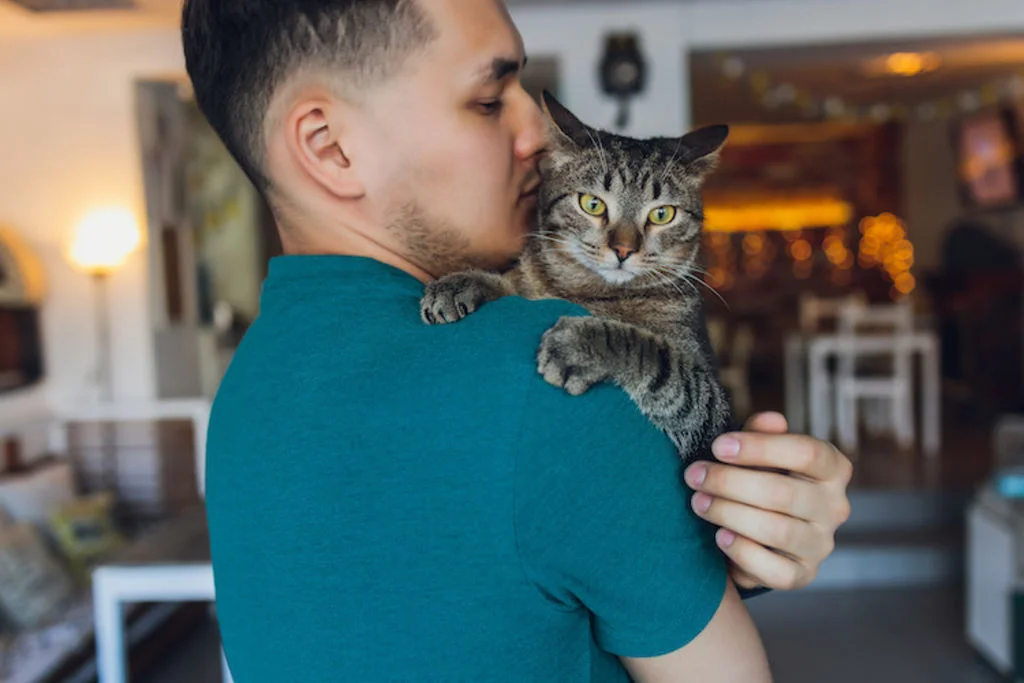 chat et homme transmission