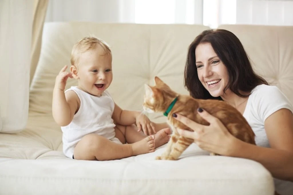 chats_vers_enfant