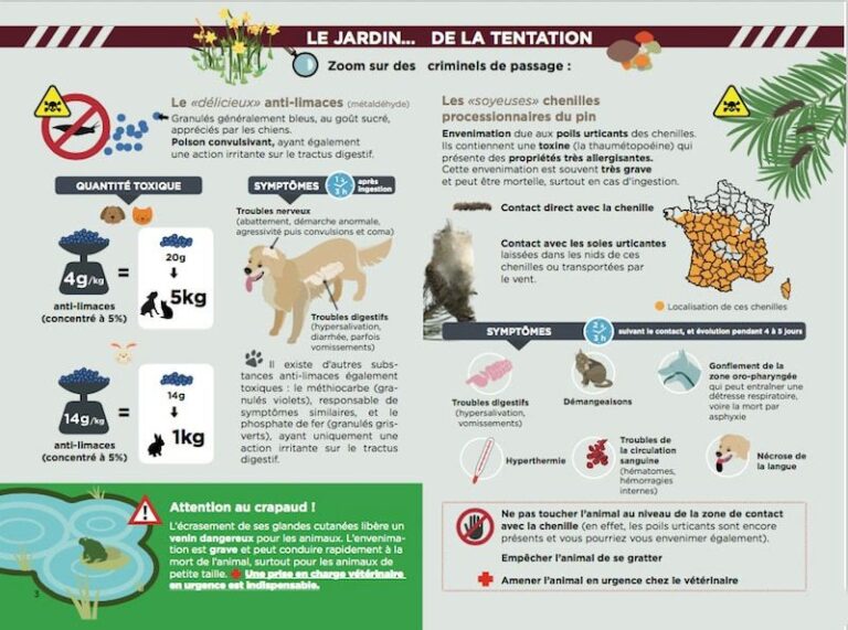 Intoxications : les dangers dans le jardin