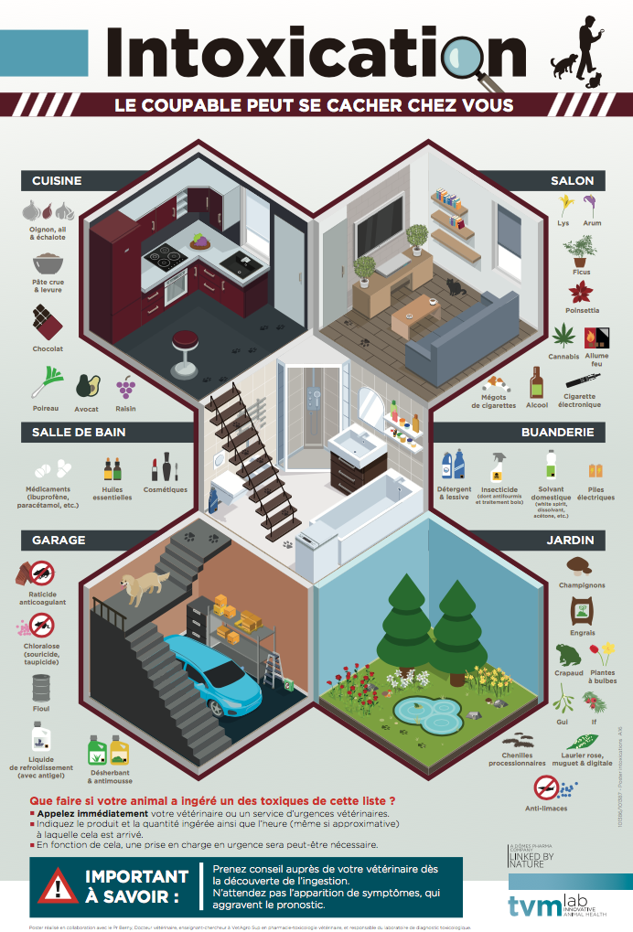 Tout ce que vous devez savoir sur les intoxications