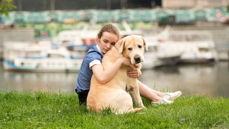 Comment surmonter la perte de son chien
