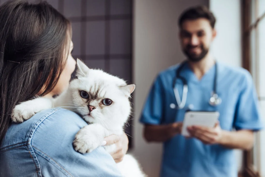 vermifuge chat veterinaire