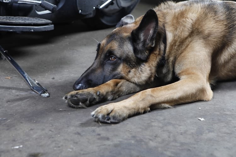 Intoxications : les dangers du garage et de la buanderie