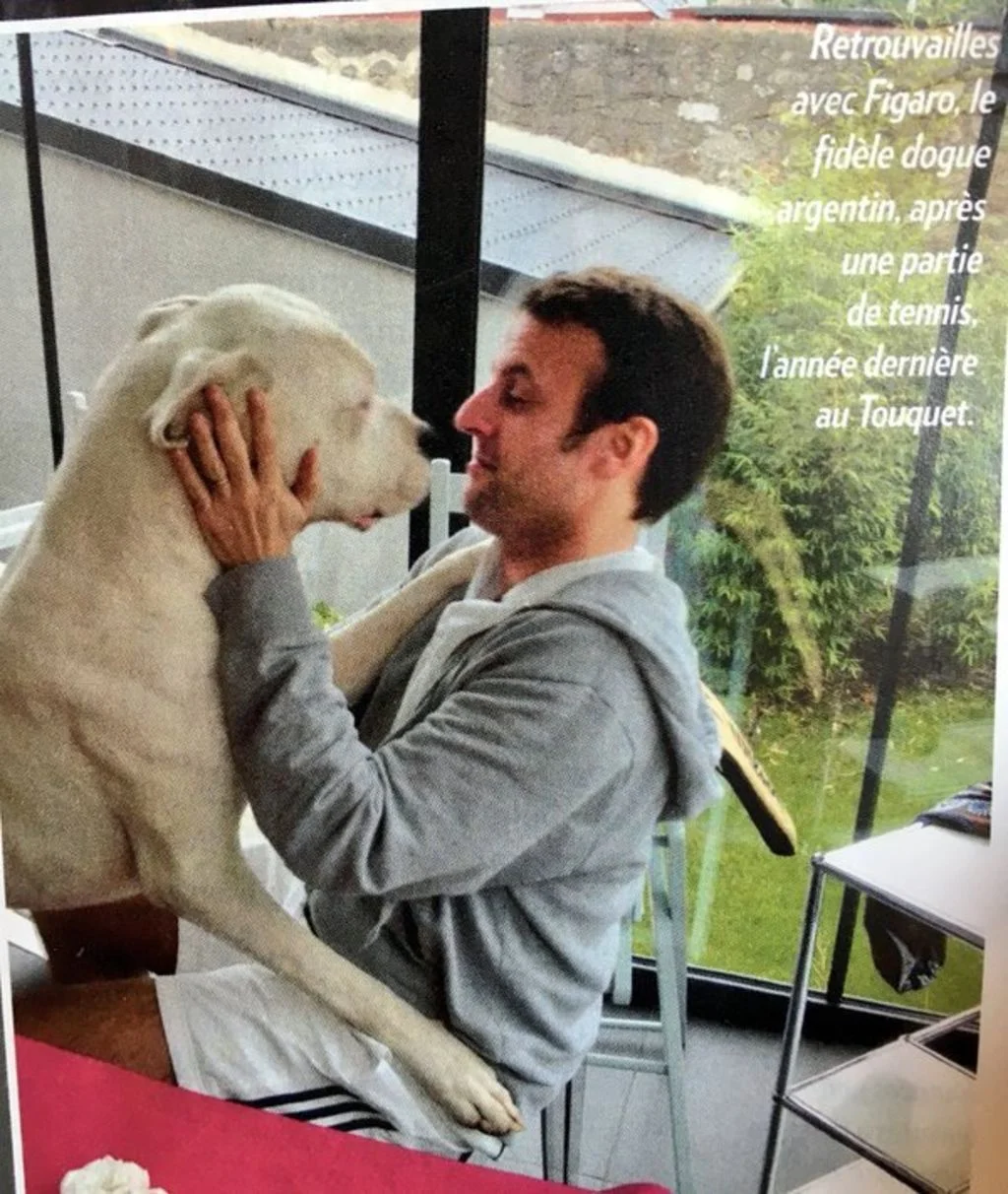 emmanuel_macron_dogue_argentin