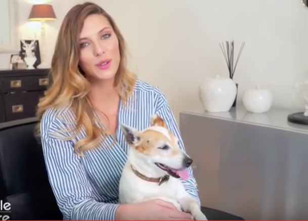 Chiens et chats : M6 nous raconte leur « belle histoire »
