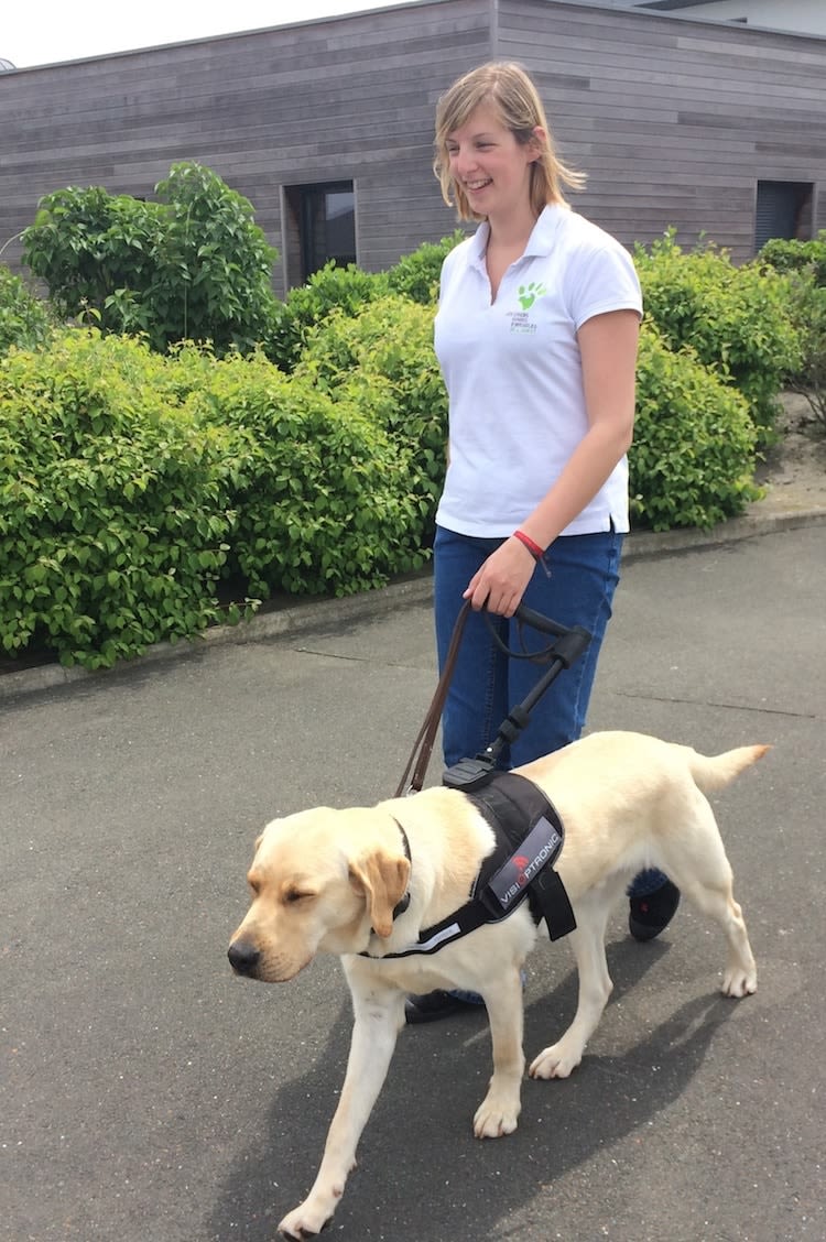 Un harnais pour chien guide nouvelle génération