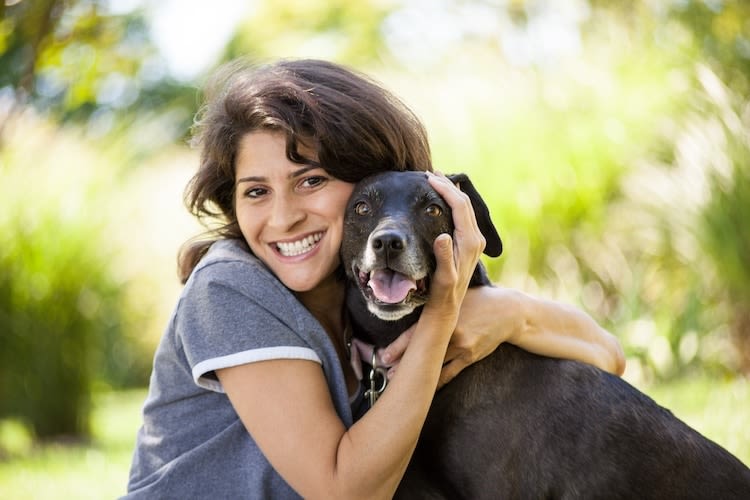 Tiques : se protéger et… protéger son chien est essentiel