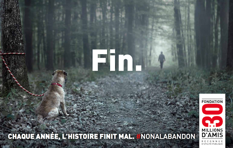 La Fondation 30 Millions fidèle au combat contre l’abandon