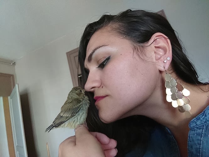 Une jeune lyonnaise sauve un oiseau d&rsquo;une mort certaine