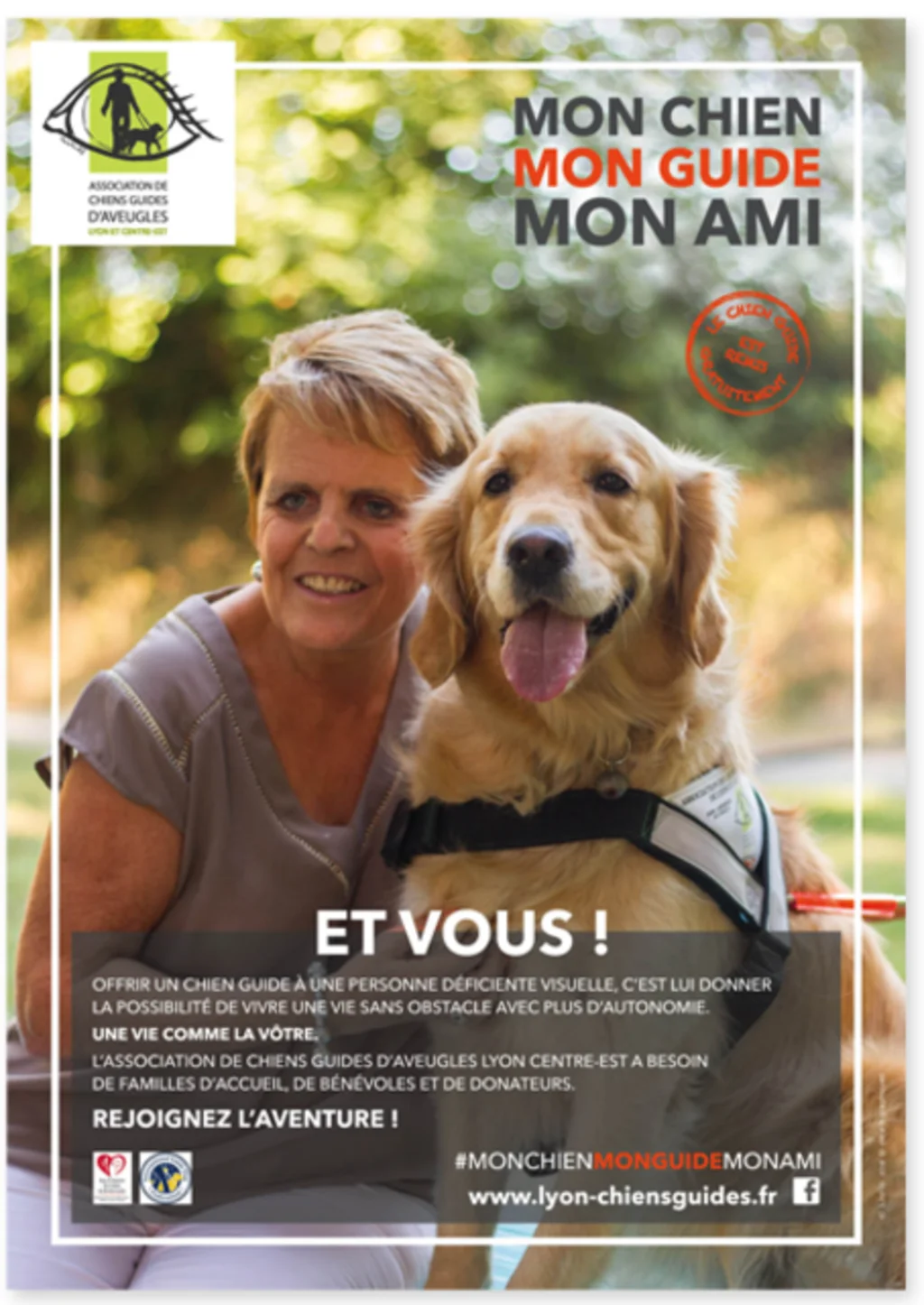 devenez famille dacceuil chien guide